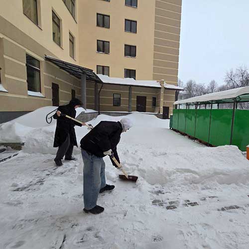 Волонтёрская инициатива «снежный десант»